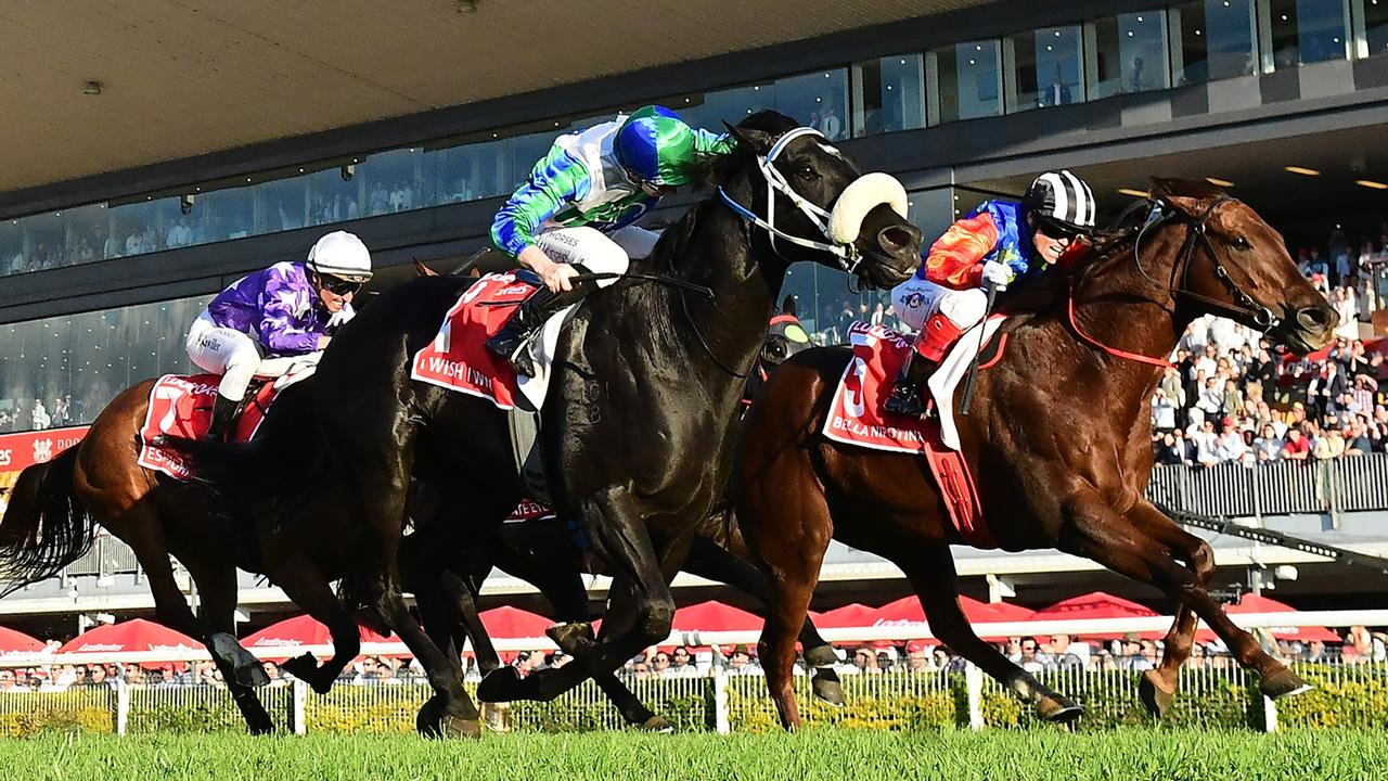 Beefed-up World Pool presence to showcase Qld to globe