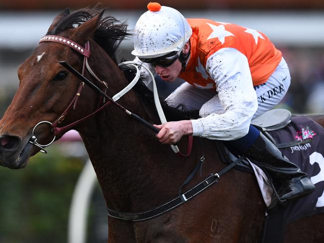 Michael Dee and Royal Rapture combine to salute at Flemington last month. Picture: Getty Images