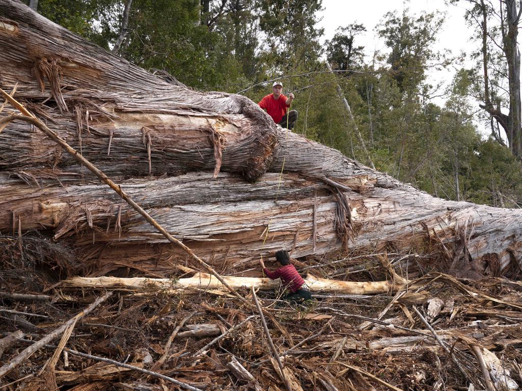 ALP gears up for an emissions land war