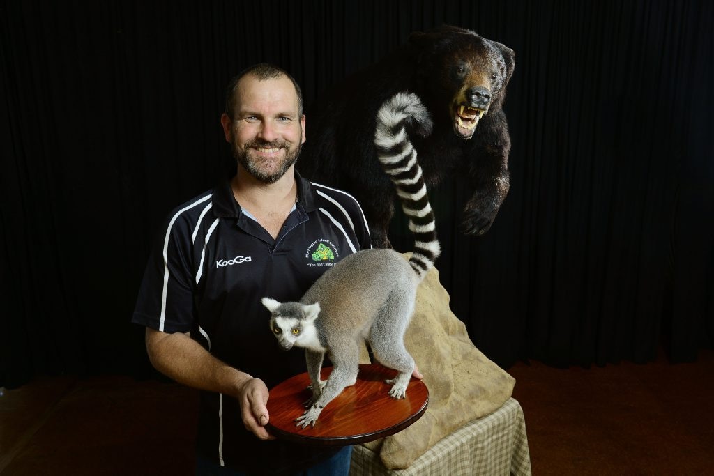 Bear, bison and wolverine to go under the hammer | The Courier Mail