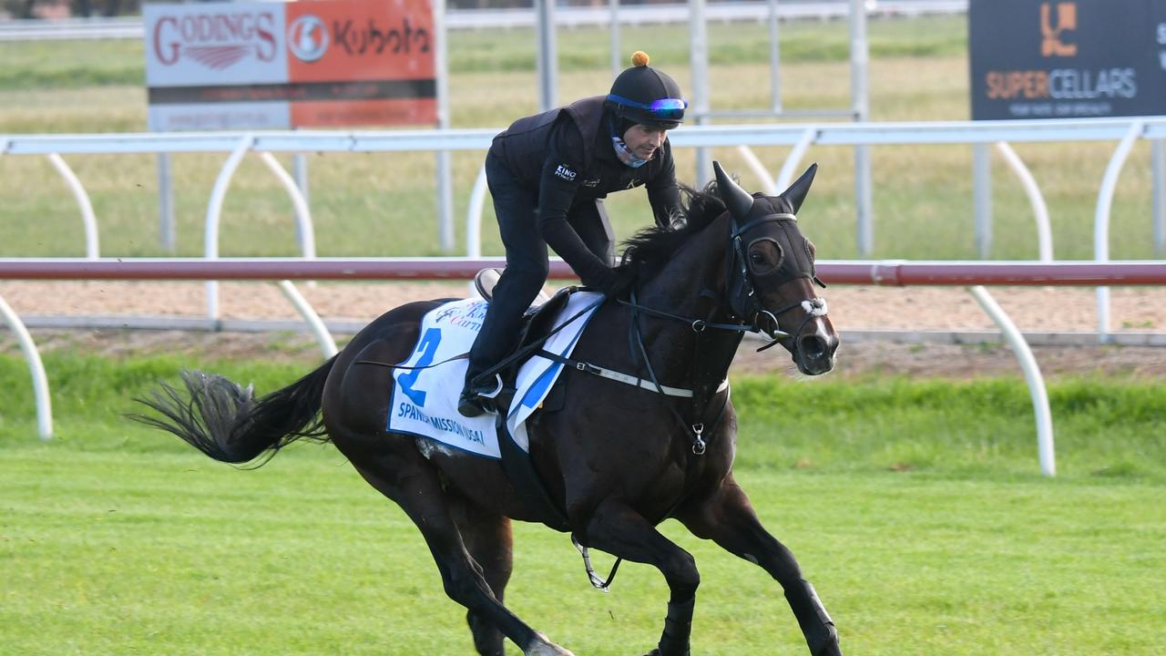 Here comes Spanish Mission. Brett Holburt/Racing Photos via Getty Images