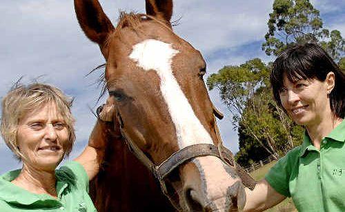 Holly Ohlson (left) and Tiffany Carmichael of Horse Sense for Humans with Nick who plays a role in helping people tackle mental health issues. Picture: David Nielsen