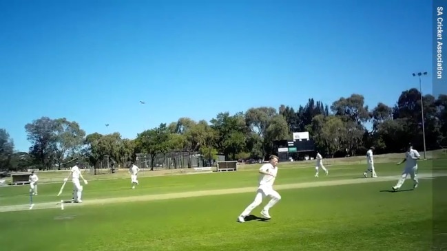 Grade Cricket Australia: SACA umpire camera catches wicket and celebration  | The Advertiser