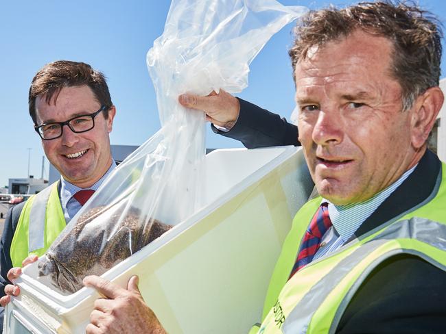 Hon David Littleproud MP and Hon Tim Whetstone pose for a picture with some of the two million sterile Queensland Fruit Flies at Adelaide Airport, before being loaded into a plane and released by air over Woodville Park, Tuesday, April 3, 2018. (AAP Image/MATT LOXTON)