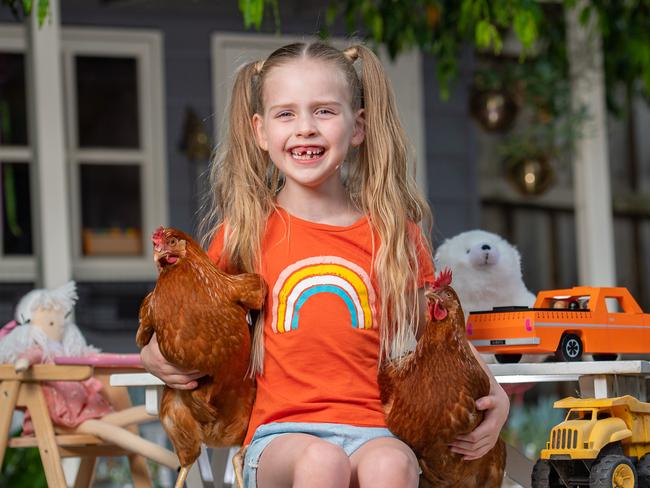 Ivy Naughton, 5, with Waffles and Bobbie, the chooks were brought home from kinda at the beginning of isolation. Prep students in 2021 will do more play based learning as the government overhauls the way the curriculum is taught after lockdown. Picture: Jason Edwards