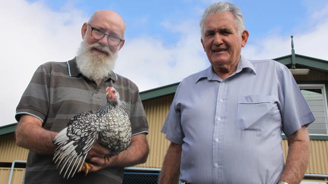 Lismore Poultry Club's auction co-ordinator Greg Clarke and president John Gibson are thrilled that their poultry auction on Saturday is attracting interest from backyard chook lovers as well as serious show bird enthusiasts. Photo: Alison Paterson