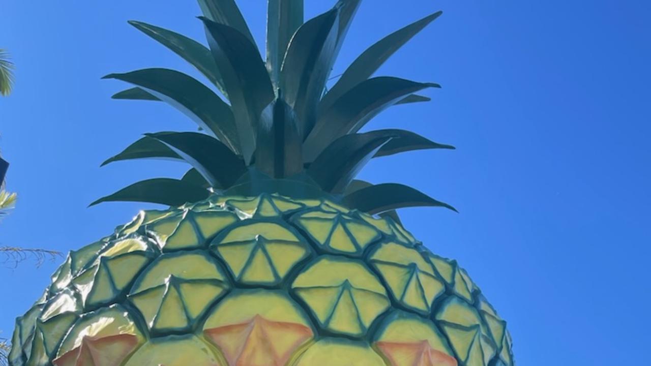 Queensland attractions like the Big Pineapple could help attract drive tourists.