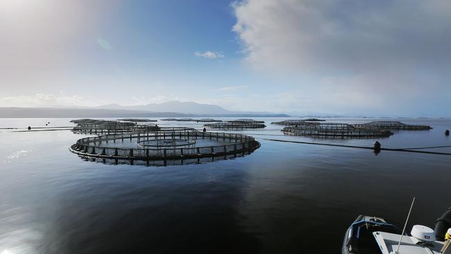 Salmon pens, in Macquarie Harbour, Strahan, on the West Coast of Tasmania Picture: MATHEW FARRELL