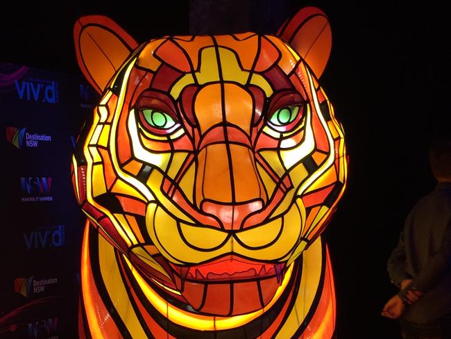 The test model of a gigantic Sumatran tiger which will be on display during Vivid Sydney at Taronga Zoo. Picture: Supplied