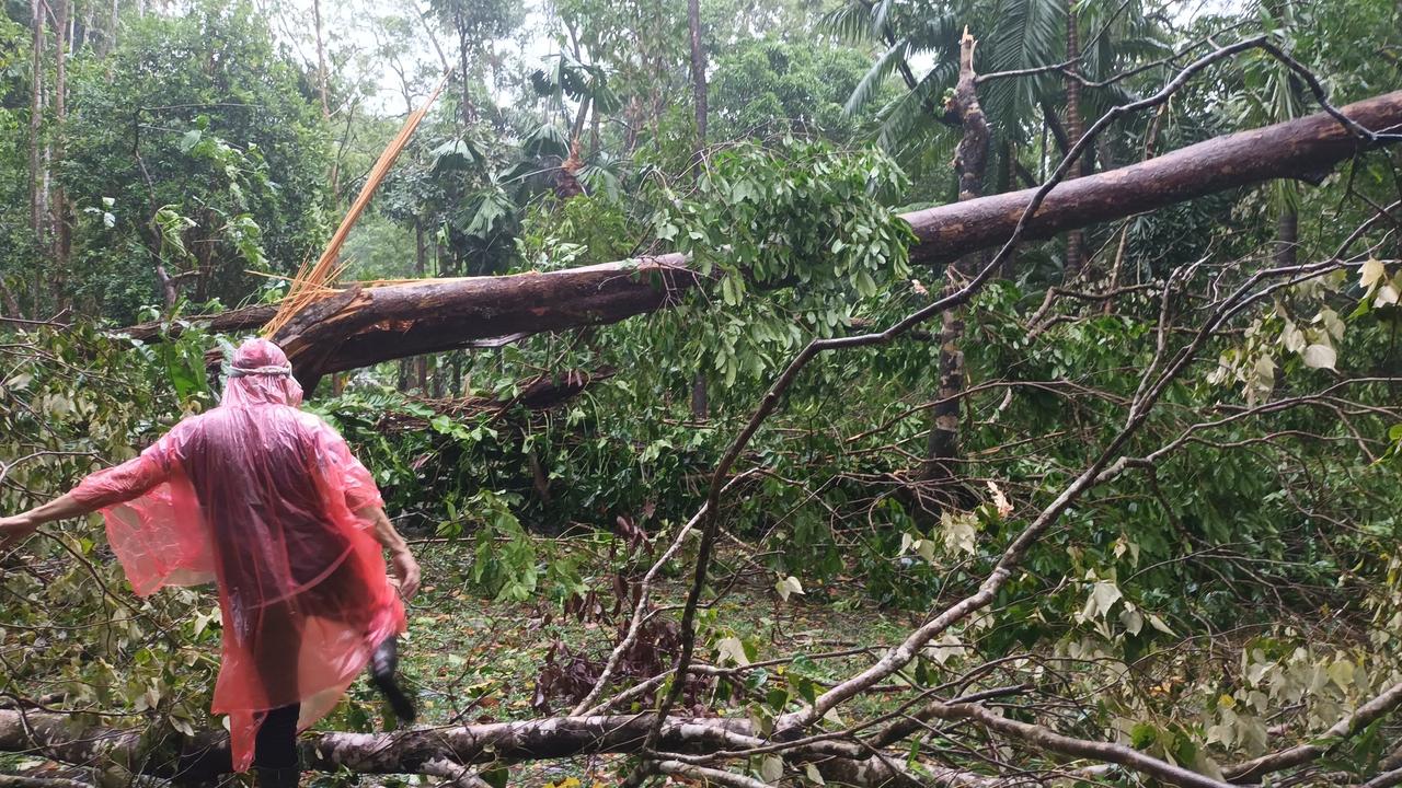 Images have begun filtering through from Cow Bay, which copped a walloping overnight Wednesday from Tropical Cyclone Jasper. Residents have begun assessing the damage to the small coastal community north of the Daintree River.