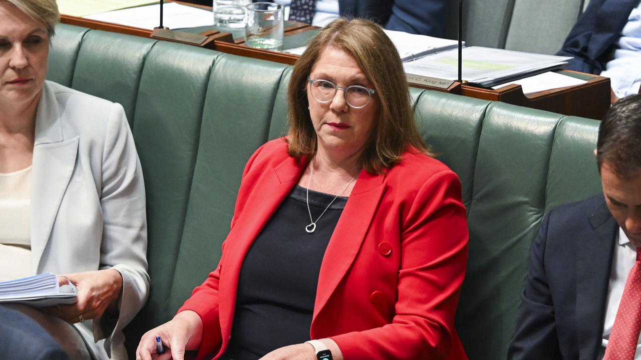 Transport minister Catherine King says the decision was made in the ‘national interest’. Picture: NCA NewsWire / Martin Ollman