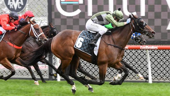 Harry Coffey in action, wining the Entry Education Abell Stakes aboard She’s All Class at Moonee Valley Racecourse. Picture: Brett Holburt/Racing Photos via Getty Images