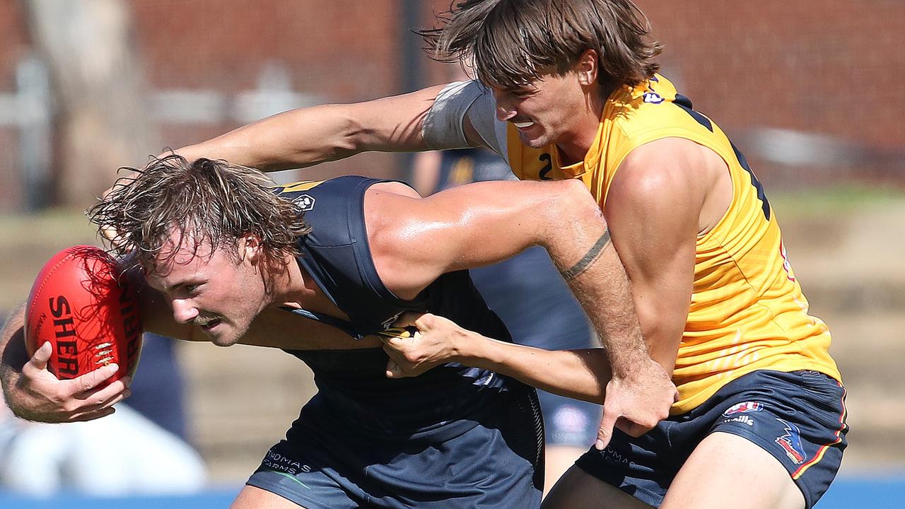 Luke Pedlar appears a Round 1 lock for the Crows. Picture: Sarah Reed / AFC