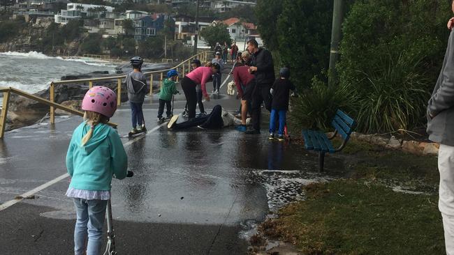 A man slips over on the footpath between Manly and Shelly Beach after the storm. The path was severely damaged.