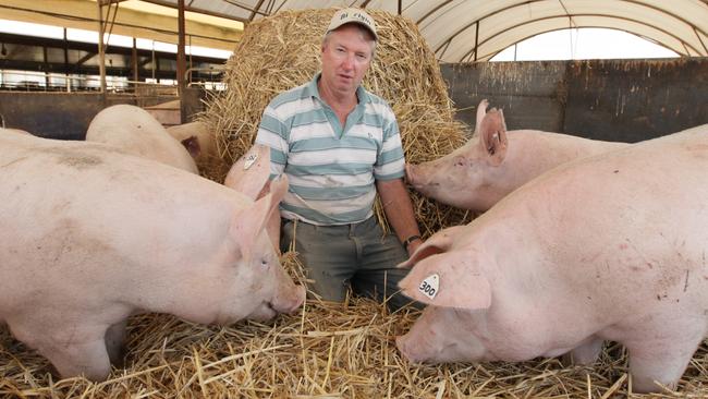 Vaccine matters: Former Victorian Farmers Federation Pig Group president says the Andrews Government has handed veterinary giant APIAM a virtual monopoly in pig vaccine production.