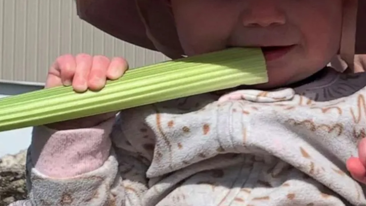 baby-develops-severe-burn-like-rash-after-eating-a-piece-of-celery-in