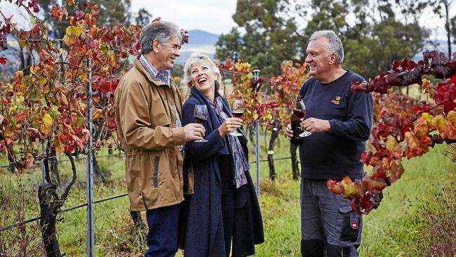 SUCCESSFUL VENTURE: Ridgemill Estate has won several awards for its wines. Picture: Contributed