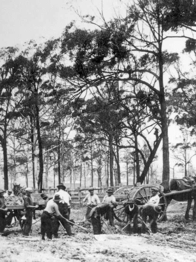 Building the Pacific Hwy in the 1920s.