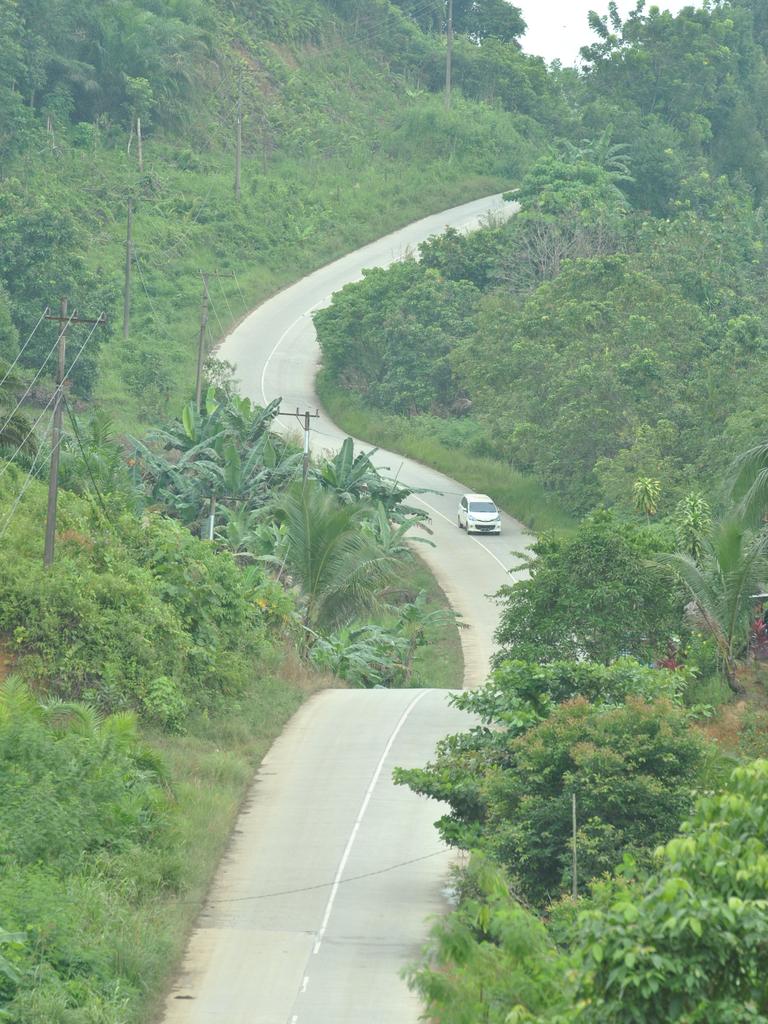 The road to the New Capital City (IKN) of Indonesia, which is in North Penajam Paser. Left and right of the road there are oil palm plantations and Industrial Plantation Forests.