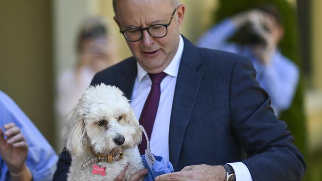 CANBERRA, AUSTRALIA - NOVEMBER 25: Prime Minister Anthony Albanese and partner Jodie Haydon and dog Toto host a group of 13 children and teenagers, and their families, who suffer from juvenile arthritis, for afternoon tea at The Lodge in Canberra. Picture: NCA NewsWire / Martin Ollman