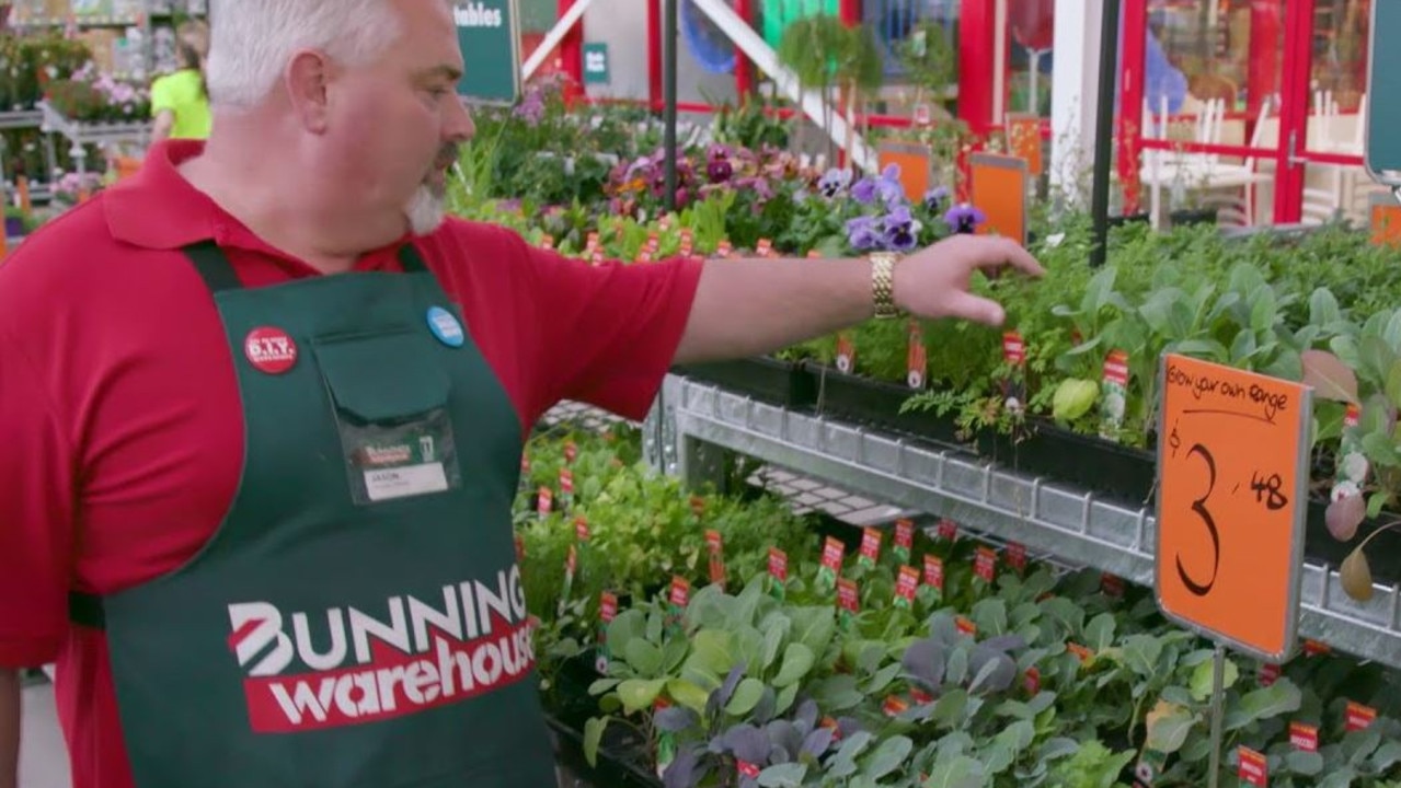 Bunnings is under fire for selling a “highly invasive” weed to customers in its nationwide nurseries. Picture: Bunnings/YouTube