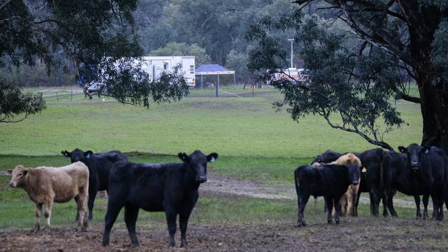 Richardsons Bend was quiet again on Thursday. Picture: Simon Dallinger