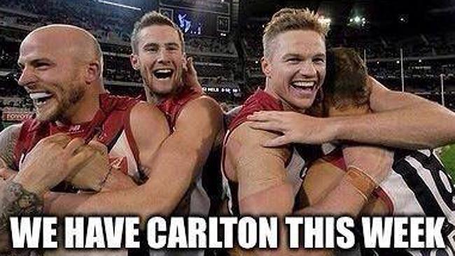 carlton fc meme