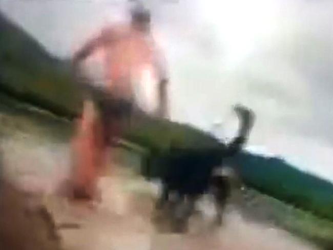 A still from the video in which Alister MacPhee and his dog are attacked by a crocodile