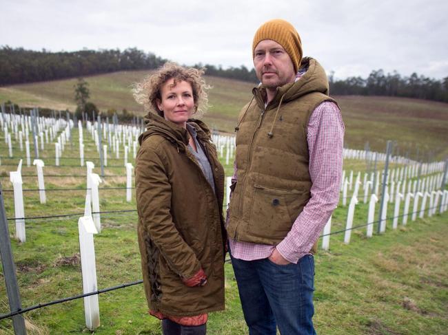 Gilli and Paul Lipscombe, of Sailor Seeks Horse vineyard in the Huon Valley, have been looking to boost their online sales. Picture: MAX MARRIOTT