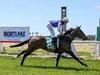Mortlake Cup cancelled due to wet weather