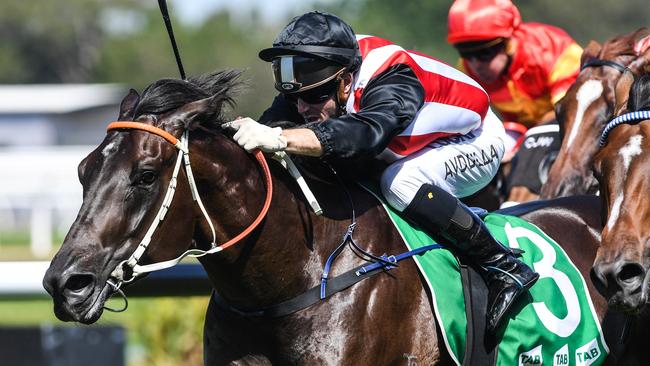Renewal can bounce back to winning form on Saturday. Picture: AAP