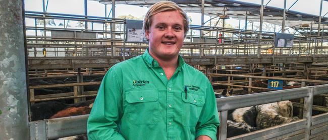 Nutrien Leongatha livestock agent Jack Ginnane at last week's Leongatha store sale. Picture: Madeleine Stuchbery