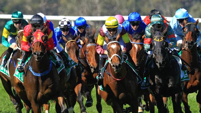 Racing in New South Wales on Thursday is at Hawkesbury and Queanbeyan.