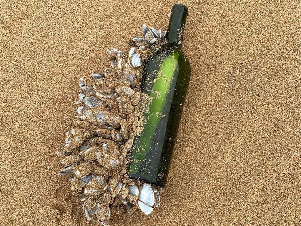 The bottle was thrown into the Atlantic in 2008.