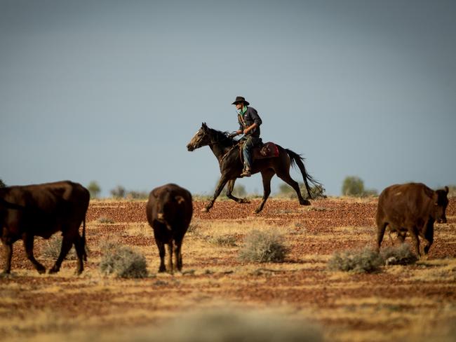 Macumba Station, Oodnadatta. Picture: Matt Turner.