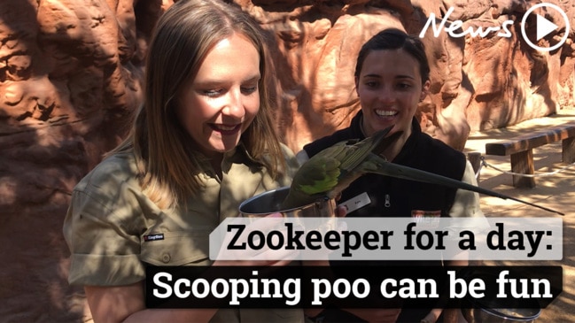 Do you have what is takes to land a job as a zookeeper?