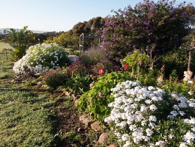 EMBARGO FOR TWAM 26 FEB 2022. FEES MAY APPLY. Bostonvista Garden in  Port Lincoln, SA. Source: Karen Miels