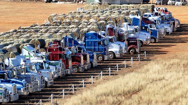 Aussie Hay Runners and other charities are delivering 100 truckloads of donated hay to drought-stricken farmers across South Australia. Picture: Chris Woodman