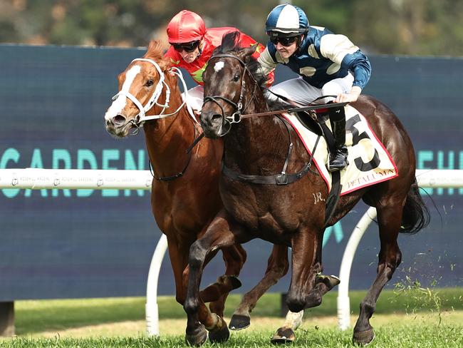 SYDNEY, AUSTRALIA - SEPTEMBER 28: Zac Lloyd riding Perspiration wins Race 5 Petaluma Heritage Stakes during "Golden Rose Day" Sydney Racing at Rosehill Gardens on September 28, 2024 in Sydney, Australia. (Photo by Jeremy Ng/Getty Images)