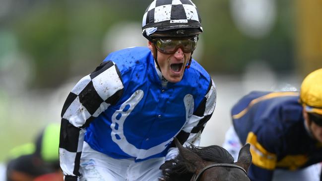 *APAC Sports Pictures of the Week - 2022, November 7* - MELBOURNE, AUSTRALIA - NOVEMBER 01: Mark Zahra riding #1 Gold Trip wins race seven, the Lexus Melbourne Cup during 2022 Lexus Melbourne Cup Day at Flemington Racecourse on November 01, 2022 in Melbourne, Australia. (Photo by Quinn Rooney/Getty Images)