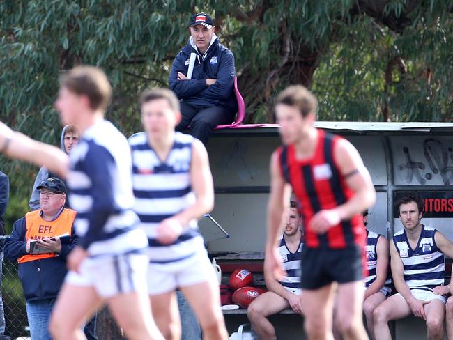 Andrew Tranquilli also watches games from the top of the bench. Picture: Hamish Blair