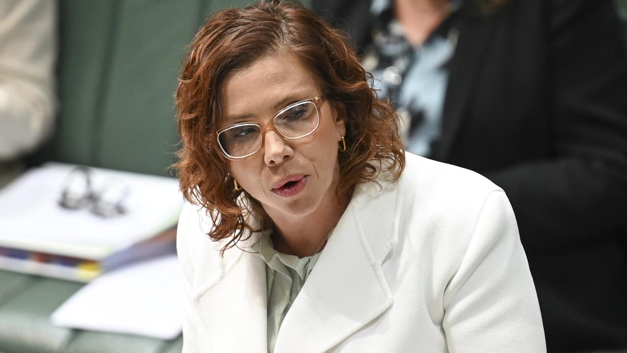 Labor puts disability inquiry call for new laws on hold