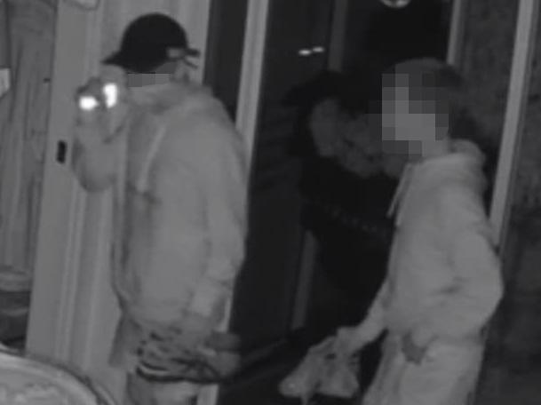 Young boys captured on CCTV breaking into a house in Palm Beach.