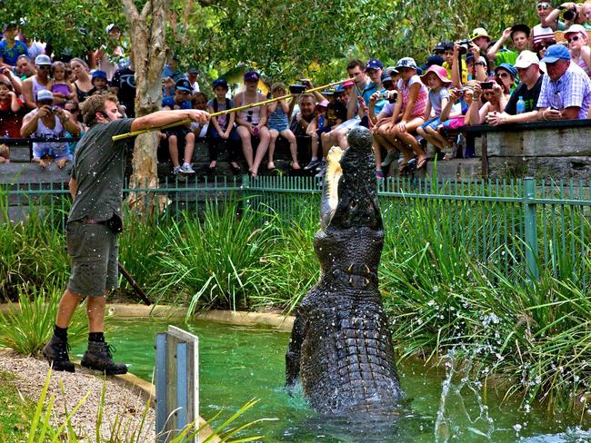 A great family day out at The Australian Reptile park.