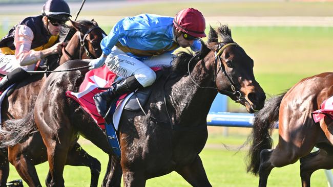 Apache Song, pictured winning at Sandown on May 8, looks an excellent each way bet at Flemington on Saturday. Picture: Vince Caligiuri / Getty Images