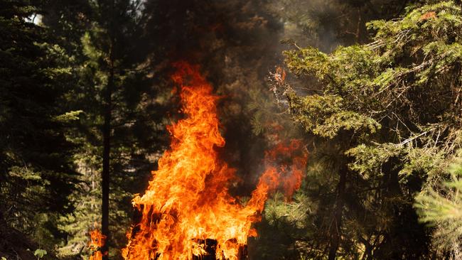 The deaths of hundreds of people in the recent heatwaves in Canada and the northwestern US makes the news headlines, but globally, about 300,000 deaths are caused each year by heat, whereas almost 1.7 million people die of cold. Picture: Getty Images