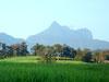 Mt Warning/Sheridan Rogers