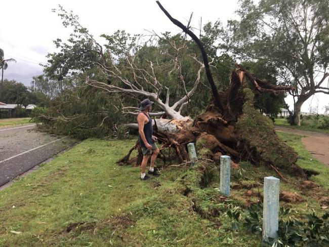 Tropical Cyclone Kirrily 2024: Locals survey the damage the morning after.