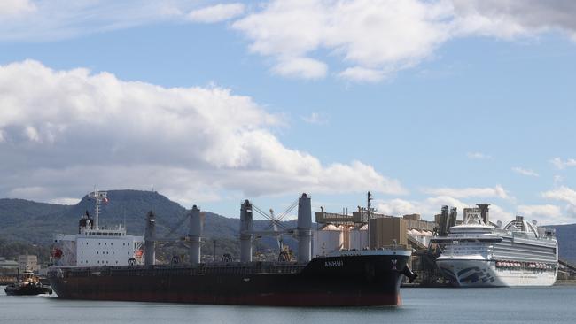 The Ruby Princess docked at Port Kembla early today, where it may stay for up to 10 days. Picture: John Grainger