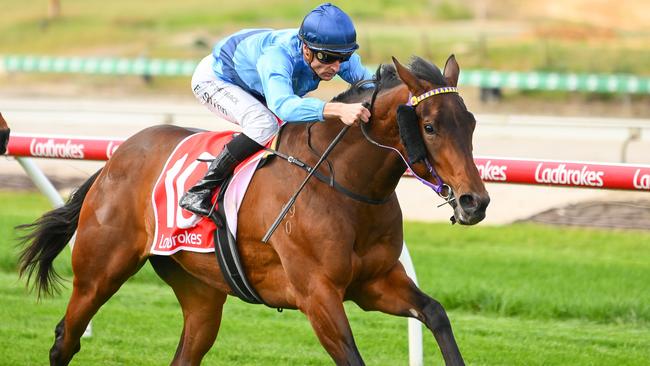 Basilinna will chase a start in the Group 1 Australian Oaks in a preparation that starts in the Group 3 Vanity at Flemington. Picture: Racing Photos via Getty Images